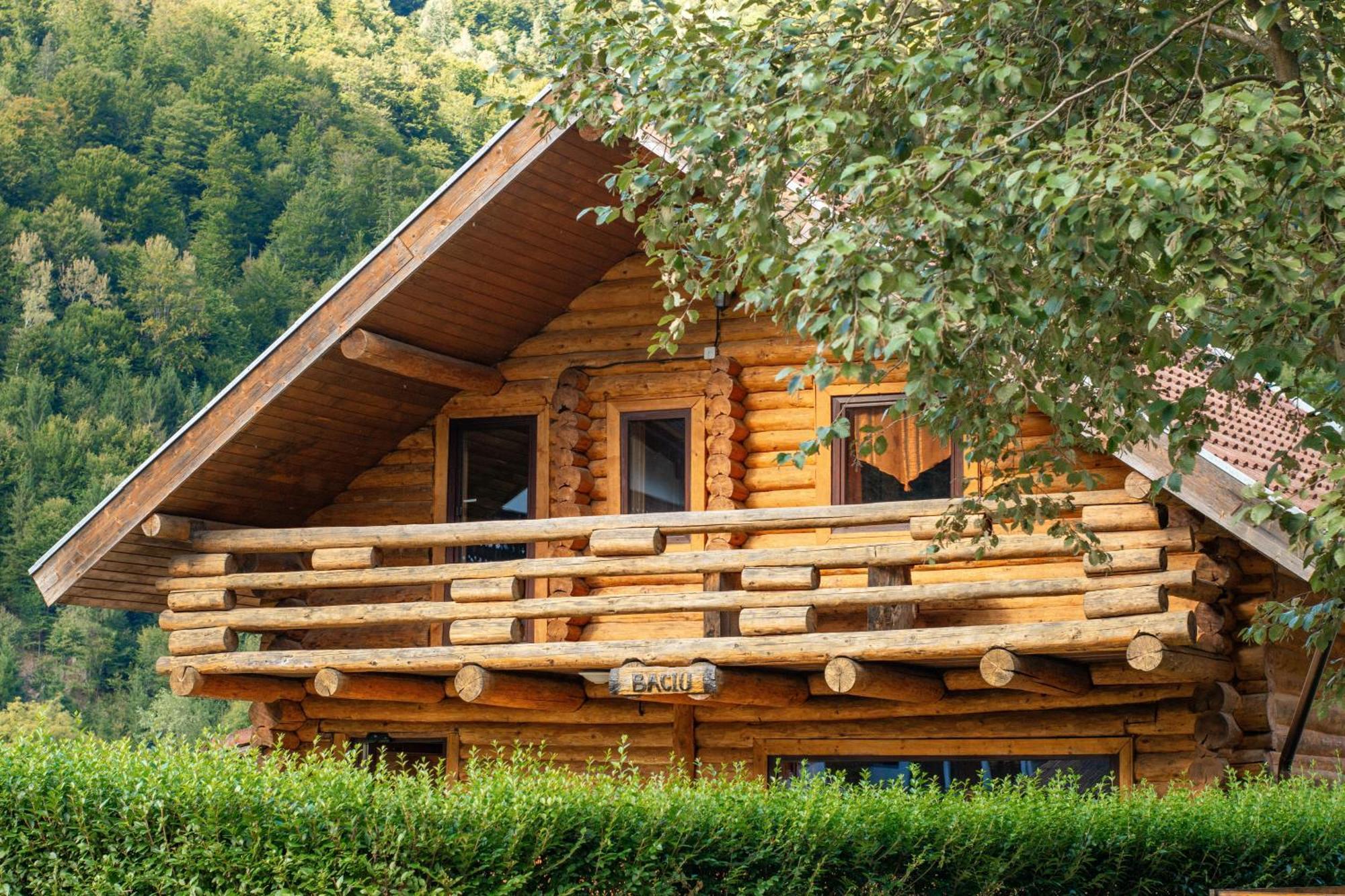 Resort 7 Crai - Cabana Baciu Zărneşti Eksteriør bilde